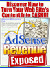 Thumbnail Adsense revenue exposed